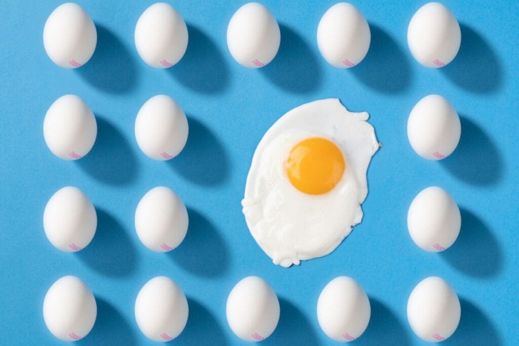 boiled fertilised eggs